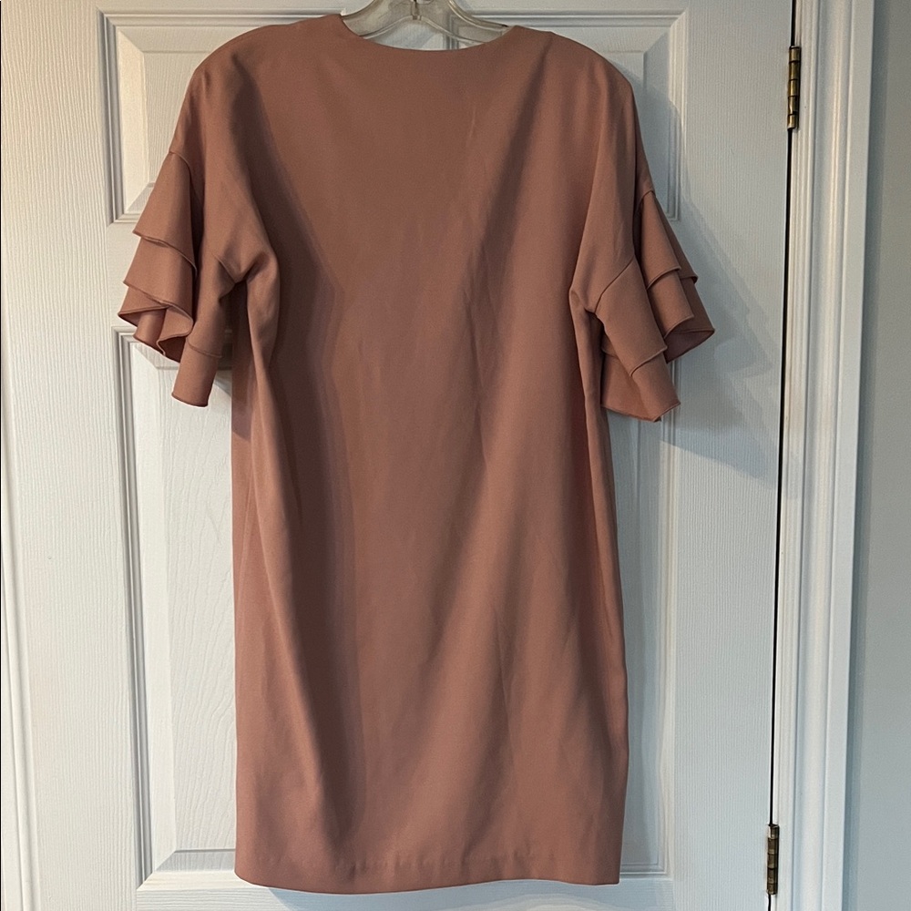 NWT Banana Republic Blush Ruffle Sleeve Mini Dress - Picture 3 of 3